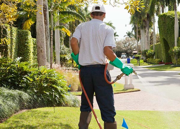 About Park KS Pest Control
